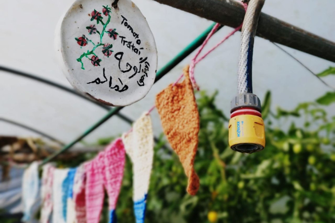 Bunting and multilingual sign inside a tomato greenhouse