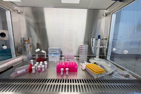 PhD Pharmacy student's lab work