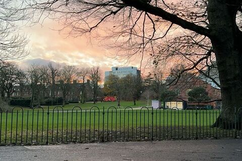 Botanic Gardens at sunset