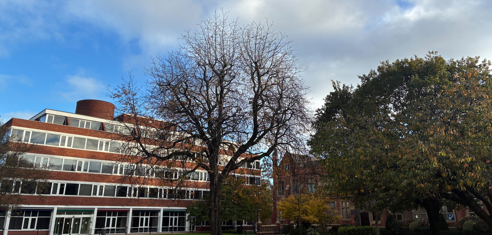 Queen's quad pictured by student Ciara