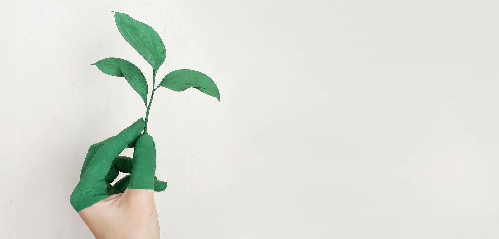 Hand painted green holding leaf