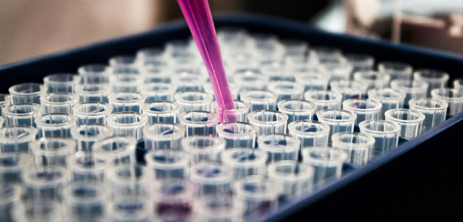 images of test samples at a lab